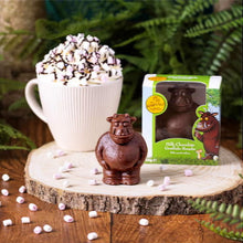 Load image into Gallery viewer, Image shows a Gruffalo-shaped hot chocolate bombe out of the packaging, in front of one in its box. The box is decorated with images from The Gruffalo. Next to these, there is a mug of hot chocolate with whipped cream on the top. All are placed on a wooden board, with green ferns in the background, and there are mini marshmallows scattered around the display.