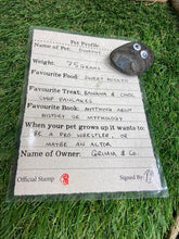 Load image into Gallery viewer, Image shows a dark Pebble Pal sat on top of a completed example of the Pet Profile sheet.