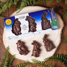 Load image into Gallery viewer, Image shows a flat lay of the Gruffalo Character Bites both in and out of their box. The box is placed above. The box is decorated with illustrations from the Gruffalo&#39;s Child, and has three clear windows in the character shape showing the chocolate inside.
Below are the chocolates, in the shape of the Gruffalo, The Gruffalo&#39;s Child, and The Mouse sitting on a stump. All are displayed on a wooden log, with green ferns in the background.