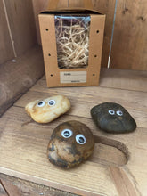 Load image into Gallery viewer, Image shows a collection of 3 Pebble Pals grouped together displaying the various colours and styles that could be sent when ordering. In the background is a kraft carry case box with wood wool nesting. 
