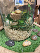 Load image into Gallery viewer, Image shows a collection of several Pebble Pals in various colours with different sized googly eyes displayed on fake grass with a terrarium jar of wood wool, moss and ivy.