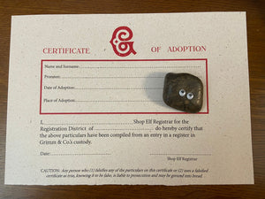 Image shows a brown Pebble Pal sat on the A4 certificate of adoption which is supplied with every purchase. Certificate is printed in black and red text on white flecked paper.