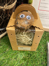 Load image into Gallery viewer, Image shows a light brown Pebble Pal sat on top of a kraft box carry case with mini holes punched into the sides like air holes, and wood wool inside for a nest. A kraft sticker to write the name is stuck on the bottom of the viewing window.