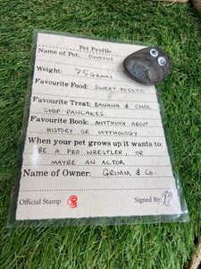 Image shows a dark Pebble Pal sat on top of a completed example of the Pet Profile sheet.