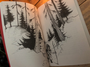 An example image of some of the illustrations by Chris Mould from the paperback book A Boy Called Christmas