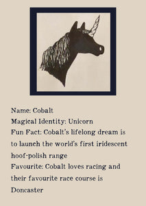 Character bio for Cobalt the Unicorn. Image shows the silhouette of the head of a unicorn. Bio reads as follows - Magical Identity: Unicorn. Fun Fact: Cobalt's lifelong dream is to launch the world's first iridescent hoof-polish range. Favourite: Cobalt loves racing and their favourite race course is Doncaster.