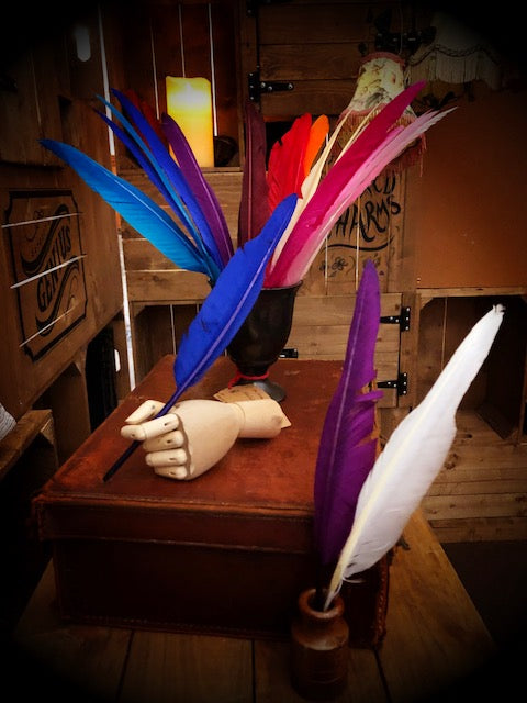 Image of several Biro Quills, coloured feathers with biro pens attached, held in wooden mannequin hands