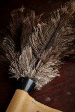 Load image into Gallery viewer, Close-up image of the greay ostrich feathers of the Giant Belly Button Cleaner duster.