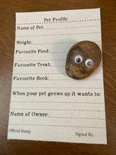 Load image into Gallery viewer, Image shows a light brown Pebble Pal sat on top of the Pet Profile A5 sheet supplied with every purchase. Sheet is printed in black text and printed on white flecked paper. Profile questions include, among others, Name of Pet, Favourite Food and Favourite Book.