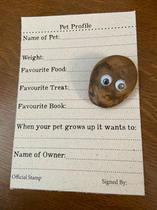 Image shows a light brown Pebble Pal sat on top of the Pet Profile A5 sheet supplied with every purchase. Sheet is printed in black text and printed on white flecked paper. Profile questions include, among others, Name of Pet, Favourite Food and Favourite Book.